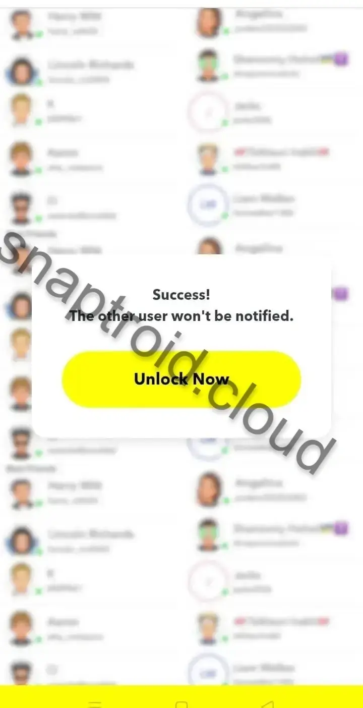 Screenshot of Snaptroid Online App